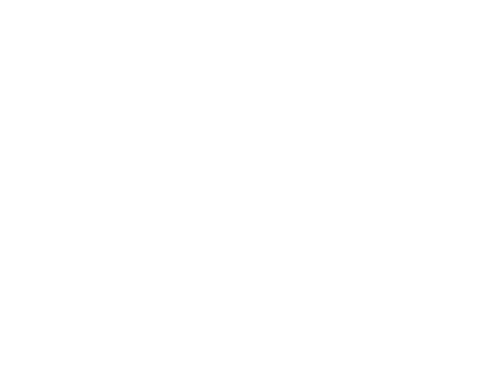 light logo